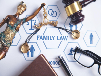 Tư vấn pháp luật về hôn nhân và gia đình, đất đai.